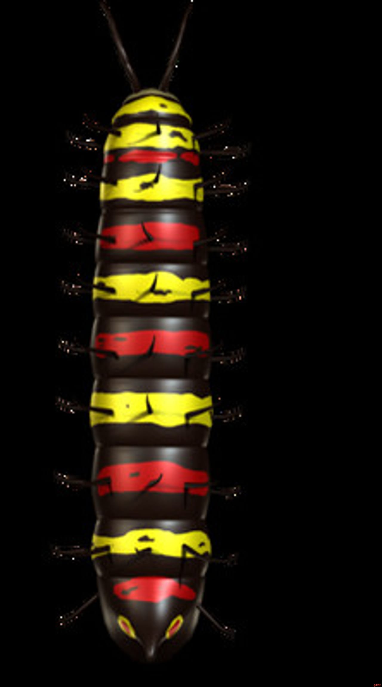 Screenshot 6 of Ant Queen