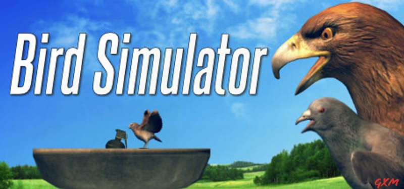Bird Simulator Poster