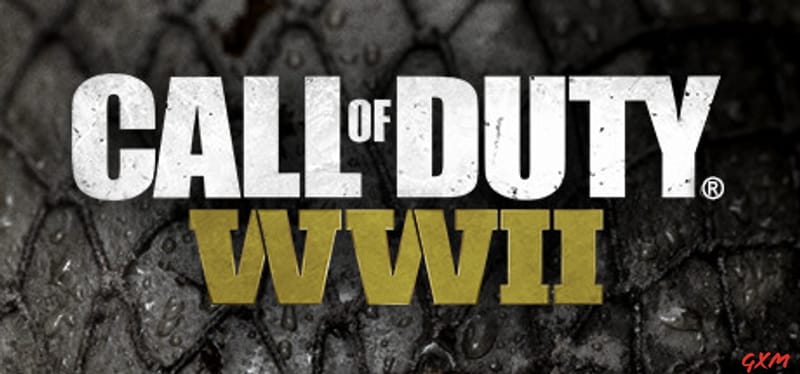 Call of Duty WWII Poster