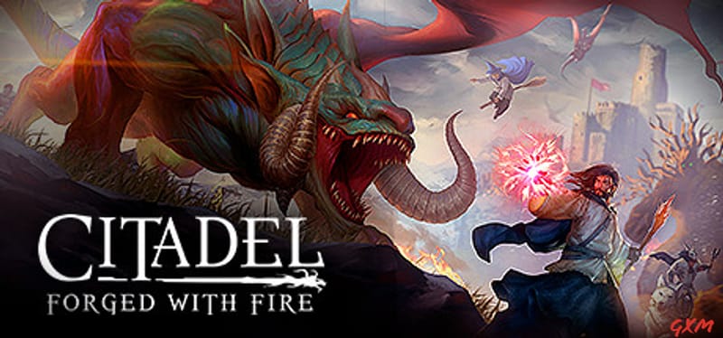 Citadel: Forged with Fire Poster