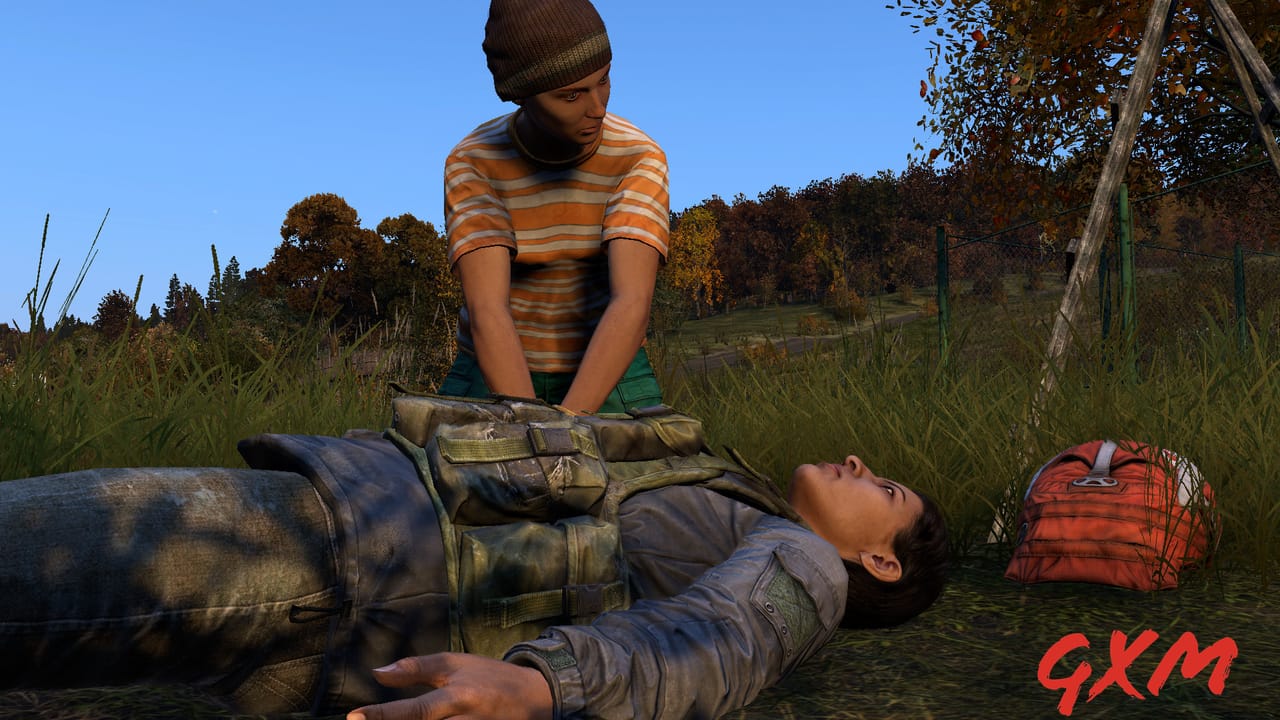 Screenshot 8 of DayZ