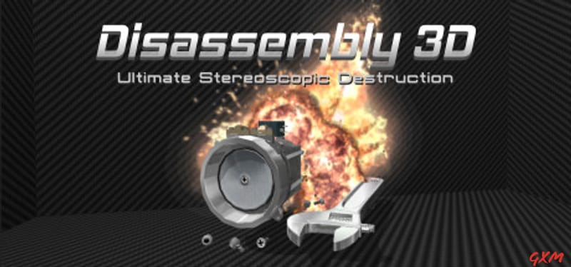 Disassembly 3D Poster