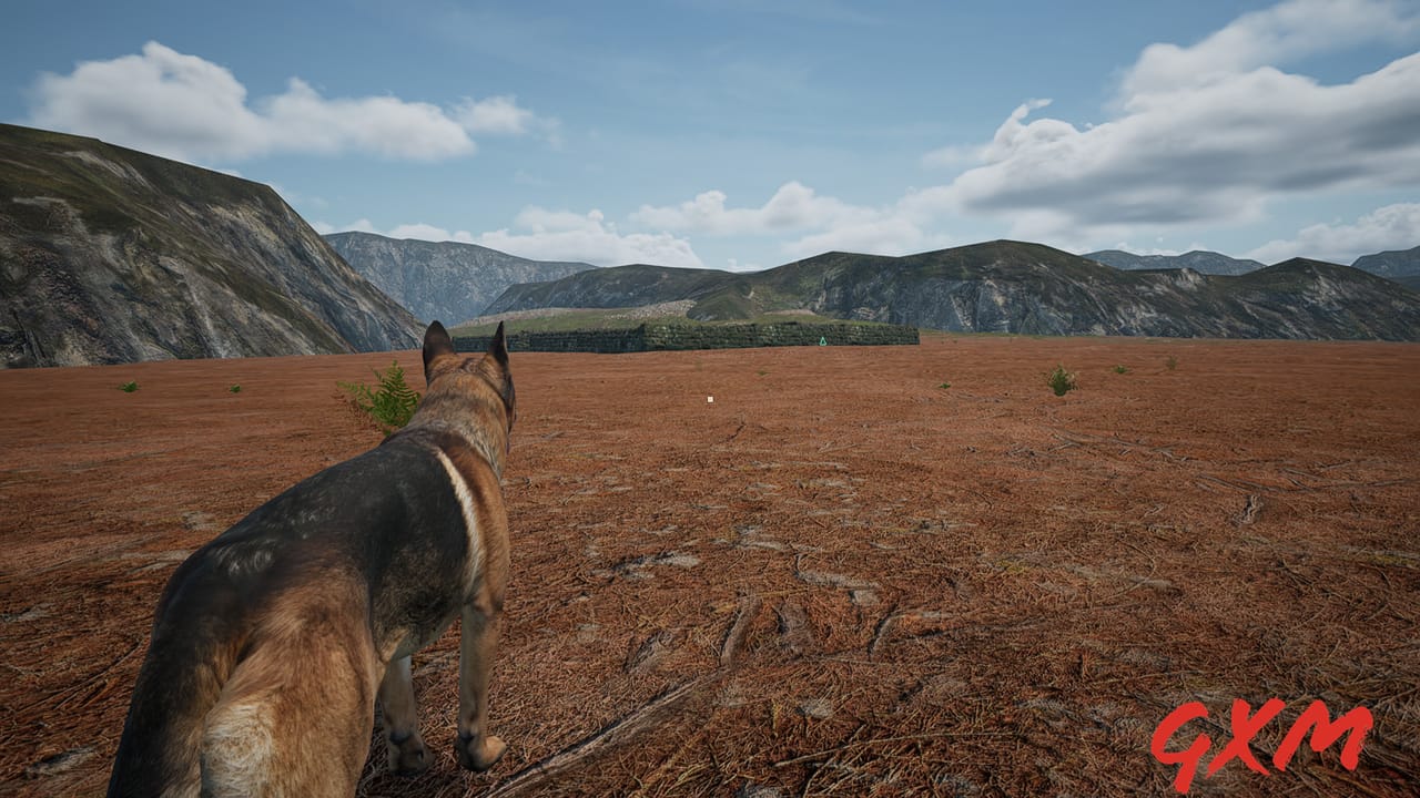 Dog_Fox_Bunny Screenshot 1