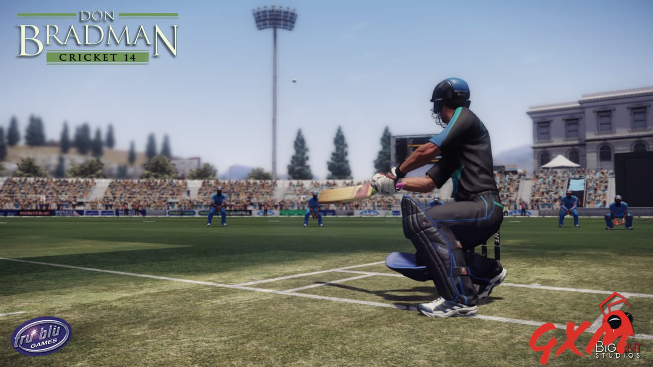 Screenshot 3 of Don Bradman Cricket 14
