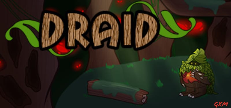 Draid Poster