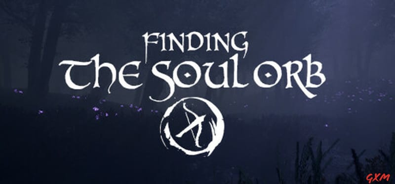 Finding the Soul Orb Poster