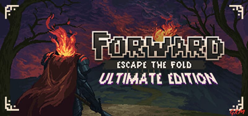 FORWARD: Escape the Fold Poster