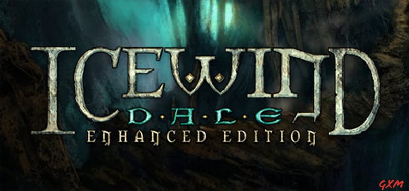 Icewind Dale: Enhanced Edition Poster