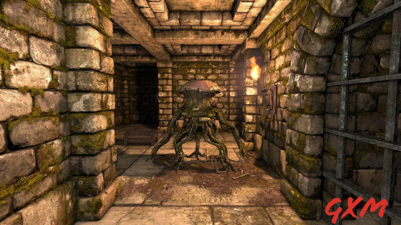 Screenshot 8 of Legend of Grimrock