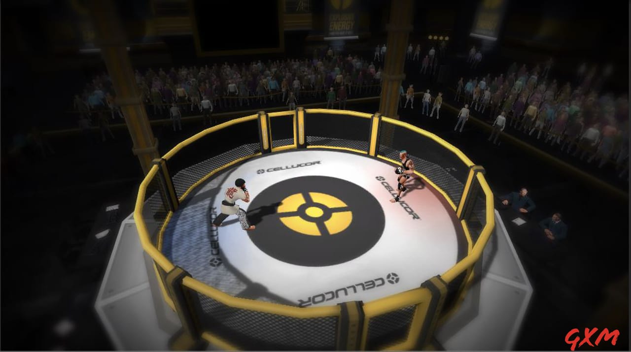 Screenshot 8 of MMA Arena