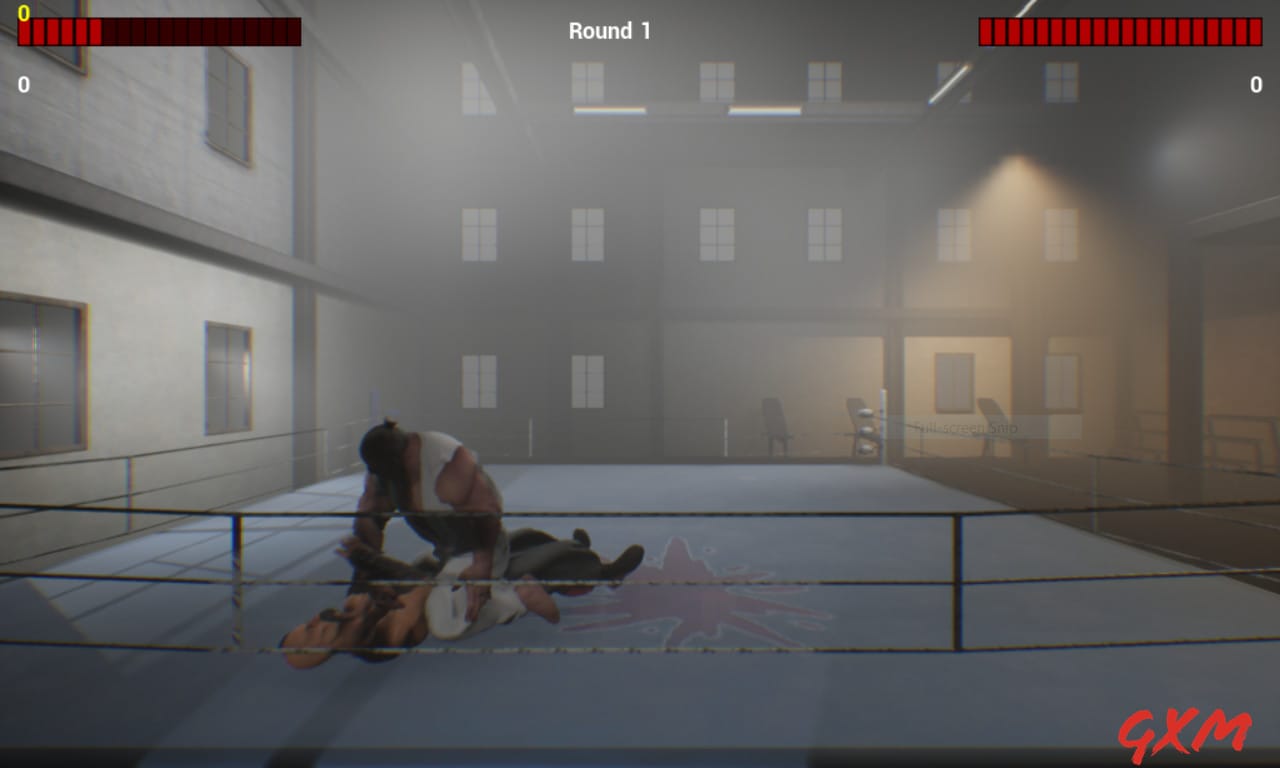 Screenshot 3 of MMA Championship