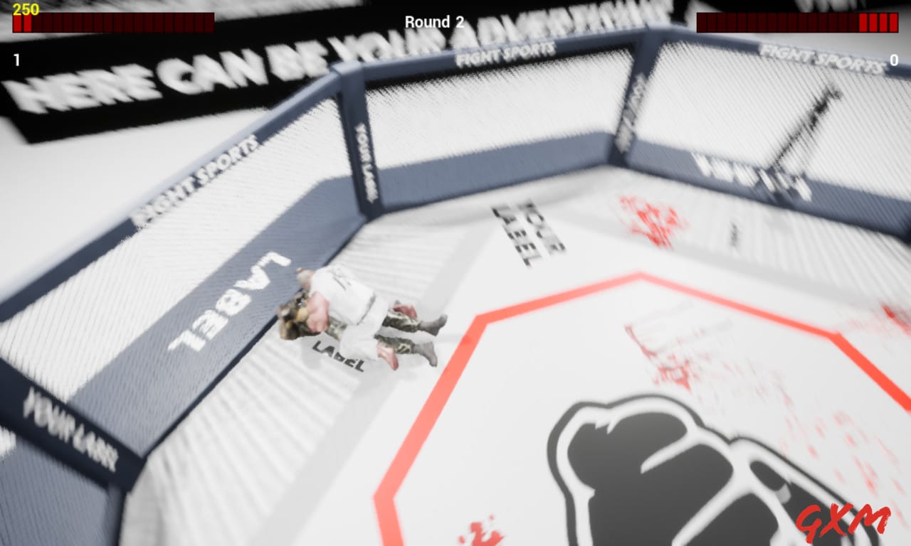 Screenshot 4 of MMA Championship