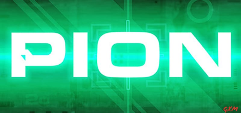 PION Poster