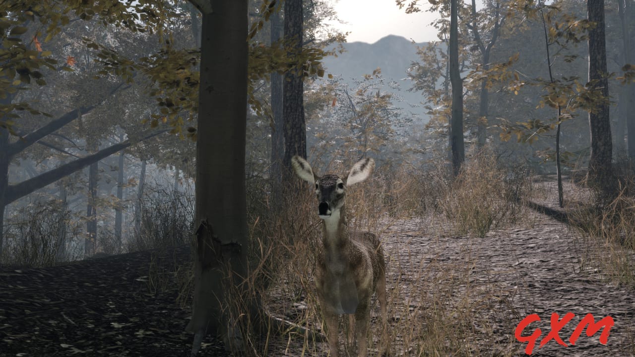 Screenshot 8 of Pro Deer Hunting 2