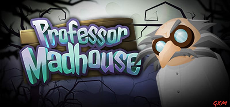 Professor Madhouse Poster