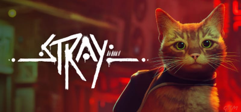 Stray Poster