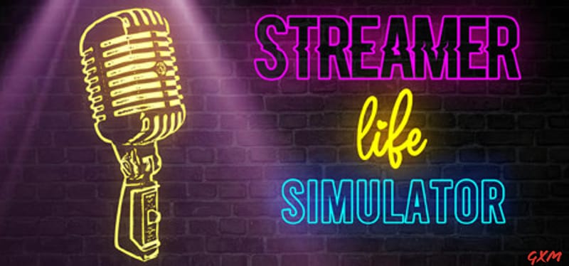 Streamer Life Simulator Poster