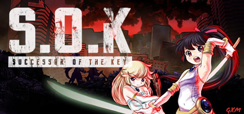 Successor of the Key Poster