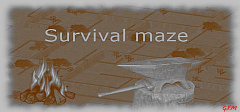 Survival Maze Poster