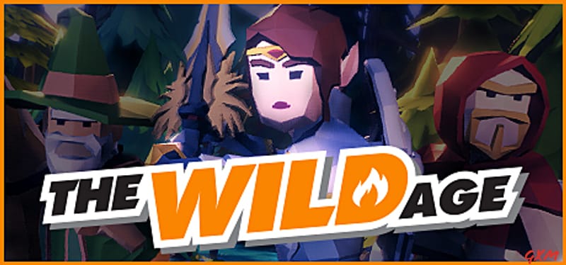 The Wild Age Poster