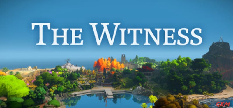 The Witness Poster