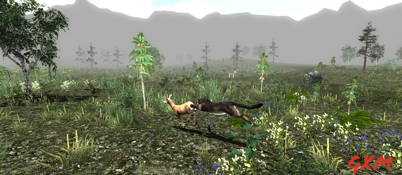 Screenshot 4 of Untamed: Life Of A Cougar