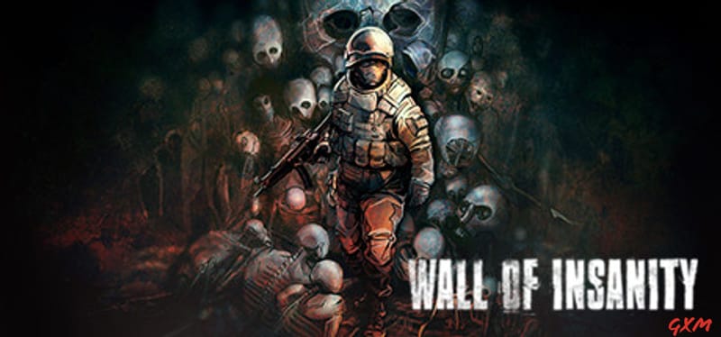 Wall of insanity Poster