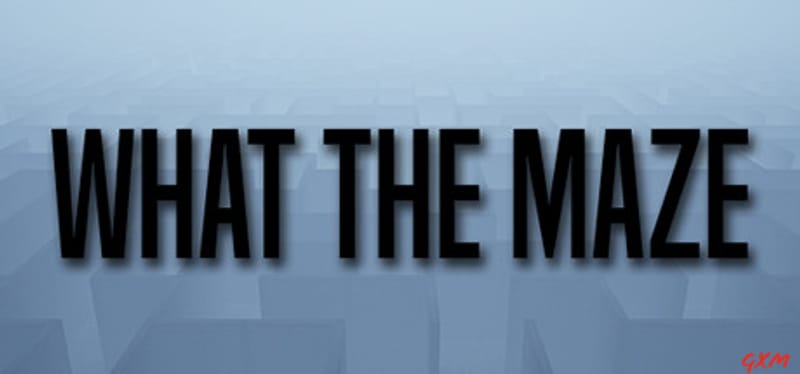 What The Maze Poster
