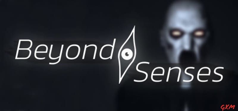 Beyond Senses