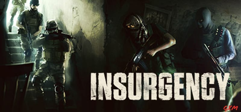 Insurgency