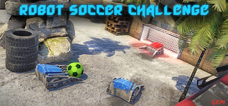 Robot Soccer Challenge