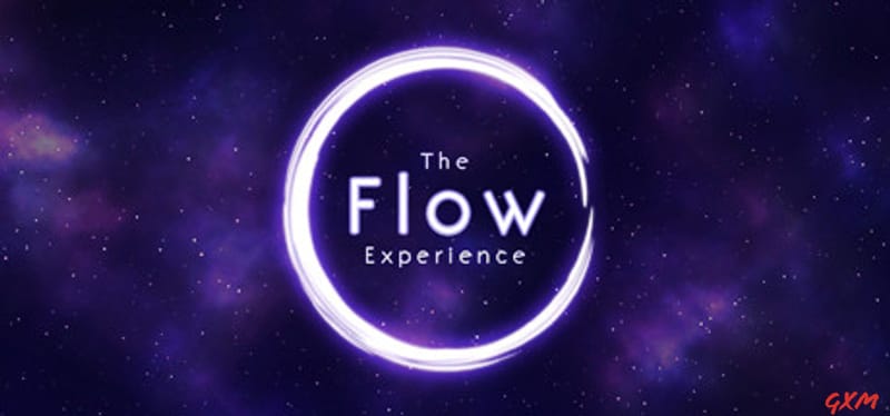 The Flow Experience Poster